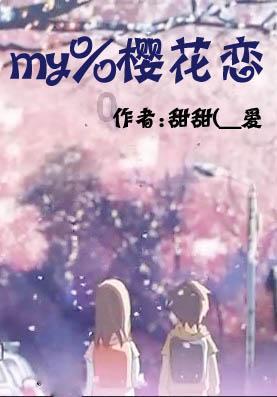 我的世界记忆卡